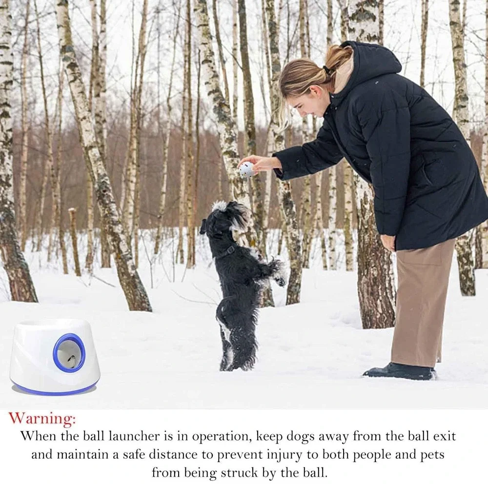 DDQ Automatic Dog Ball Launcher 3 Distance 20-45FT 6 Balls Small Medium Dogs Toy